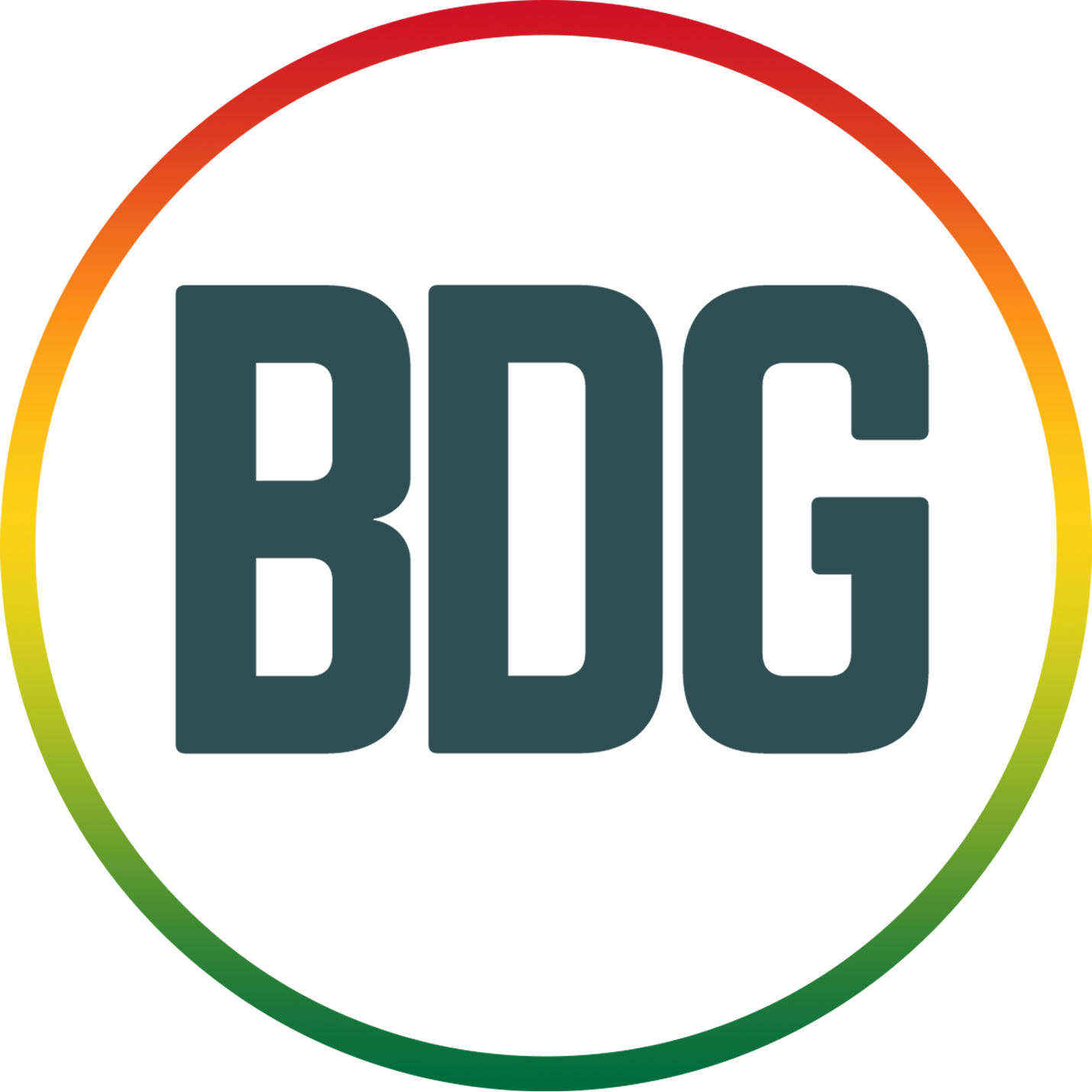 BigData Ghana Limited (BDG)